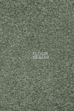 Ковролин AW Invictus Romelus 27 фото 1 | FLOORDEALER